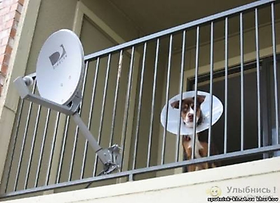 ВЫБИРАЙ  ЛУЧШЕЕ_3