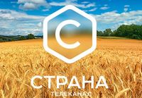 Российский канал Страна обновит логотип и оформление