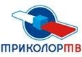 По заявлению «Триколор ТВ» против «пирата» из Беларуси вынесен обвинительный приговор